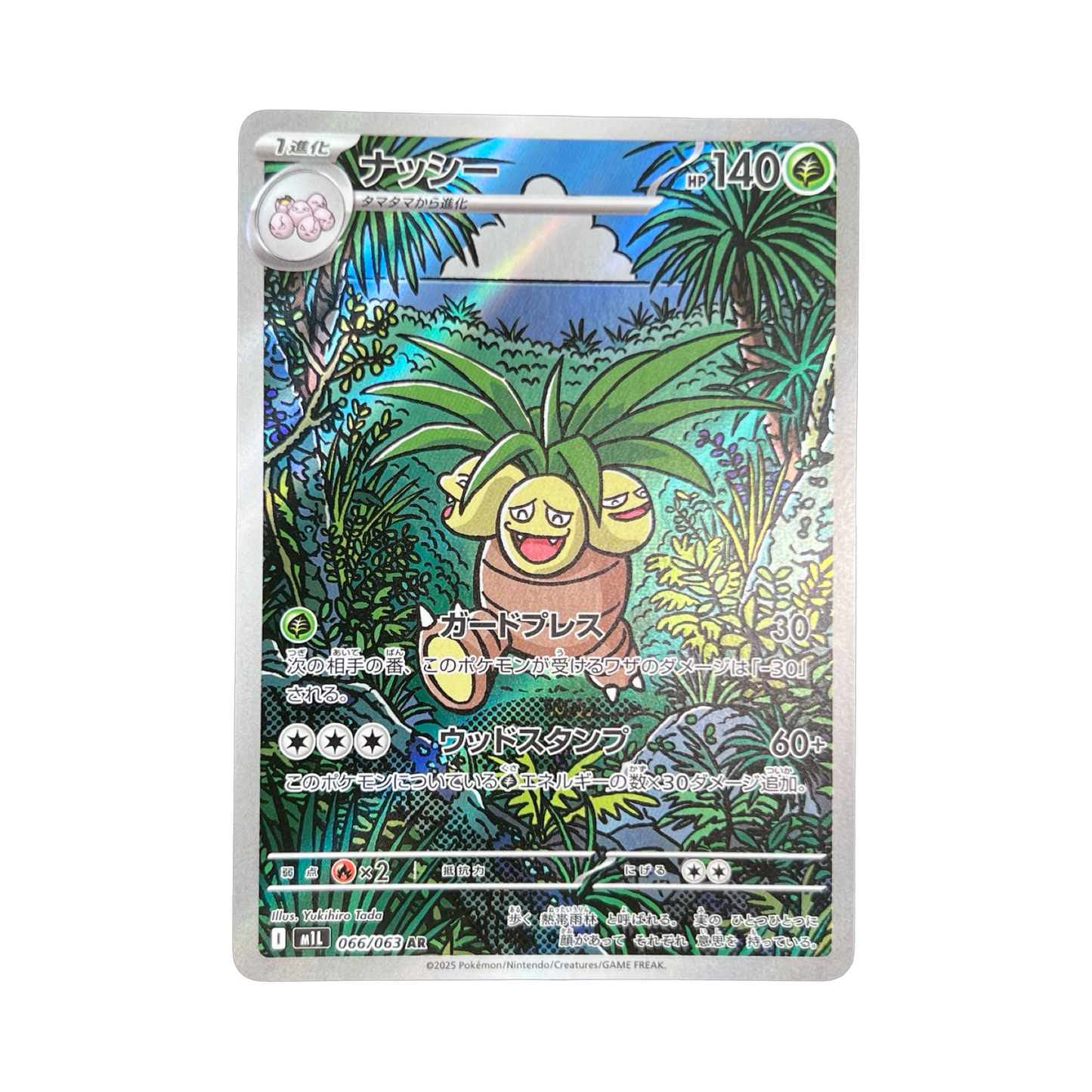 NOADKOKO AR 066/063 M1L