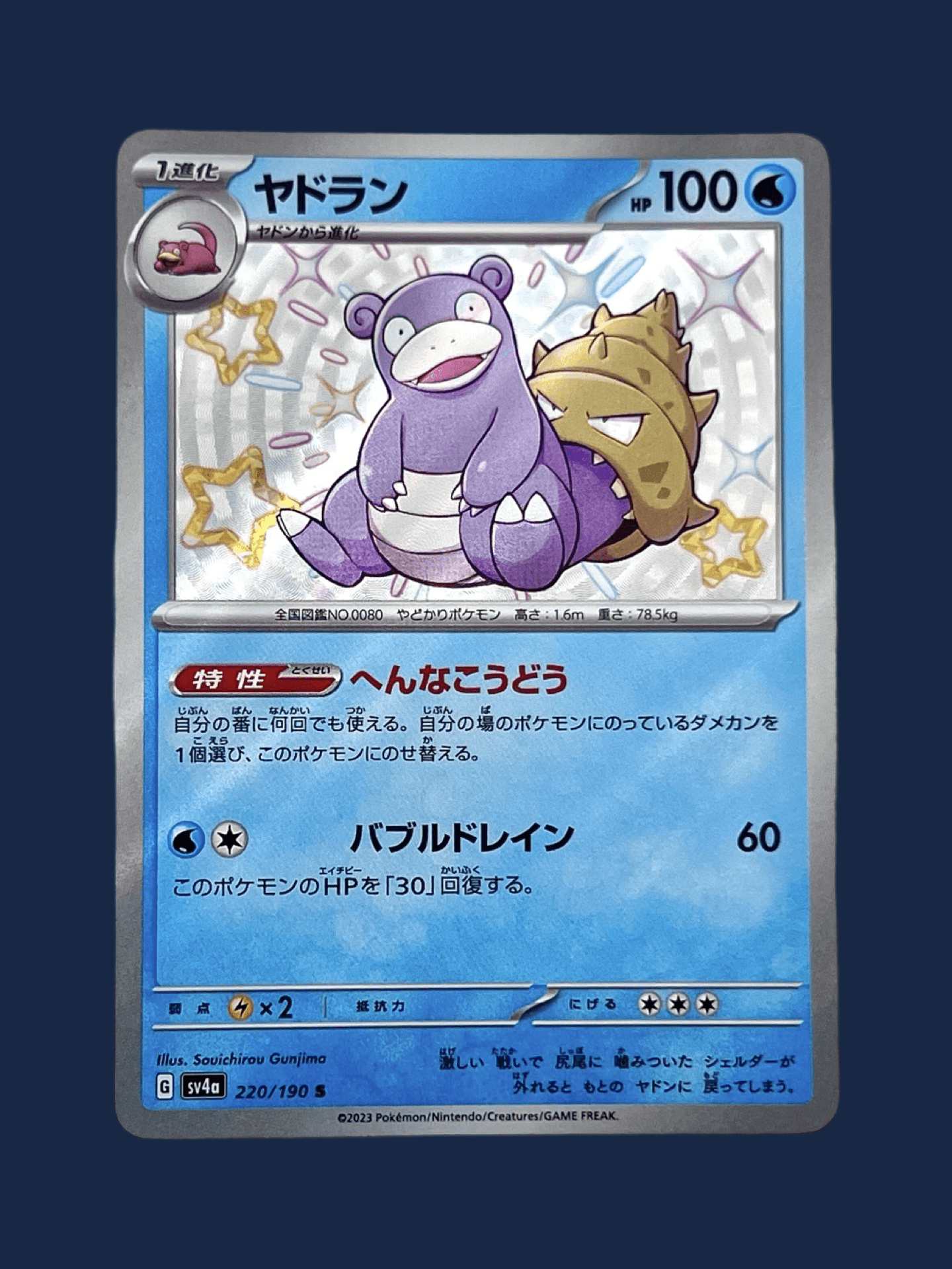 FLAGADOSS 220/190 S - Lerepaireducollectionneur - Shiny