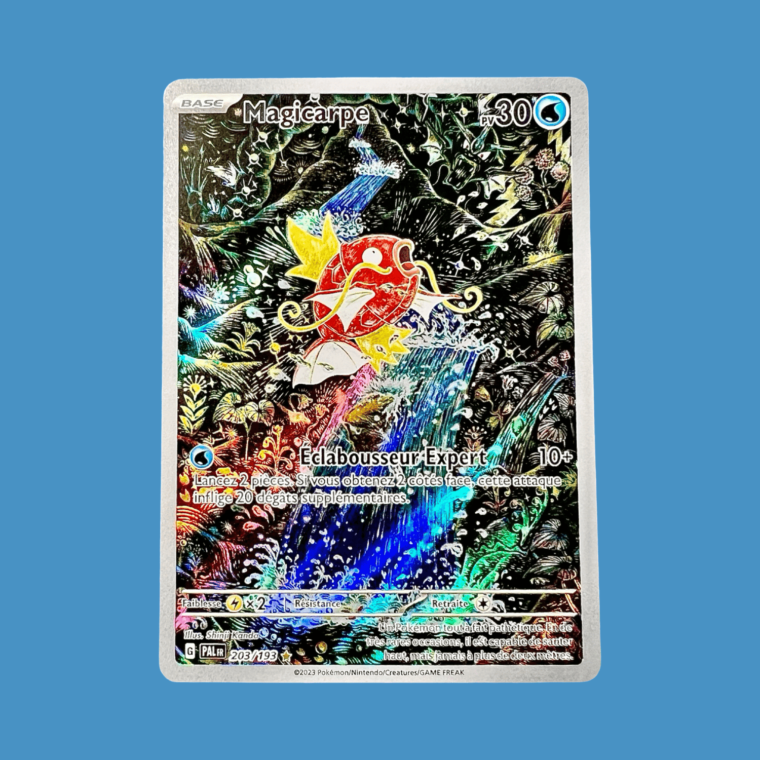 pokémon - AR - Lerepaireducollectionneur