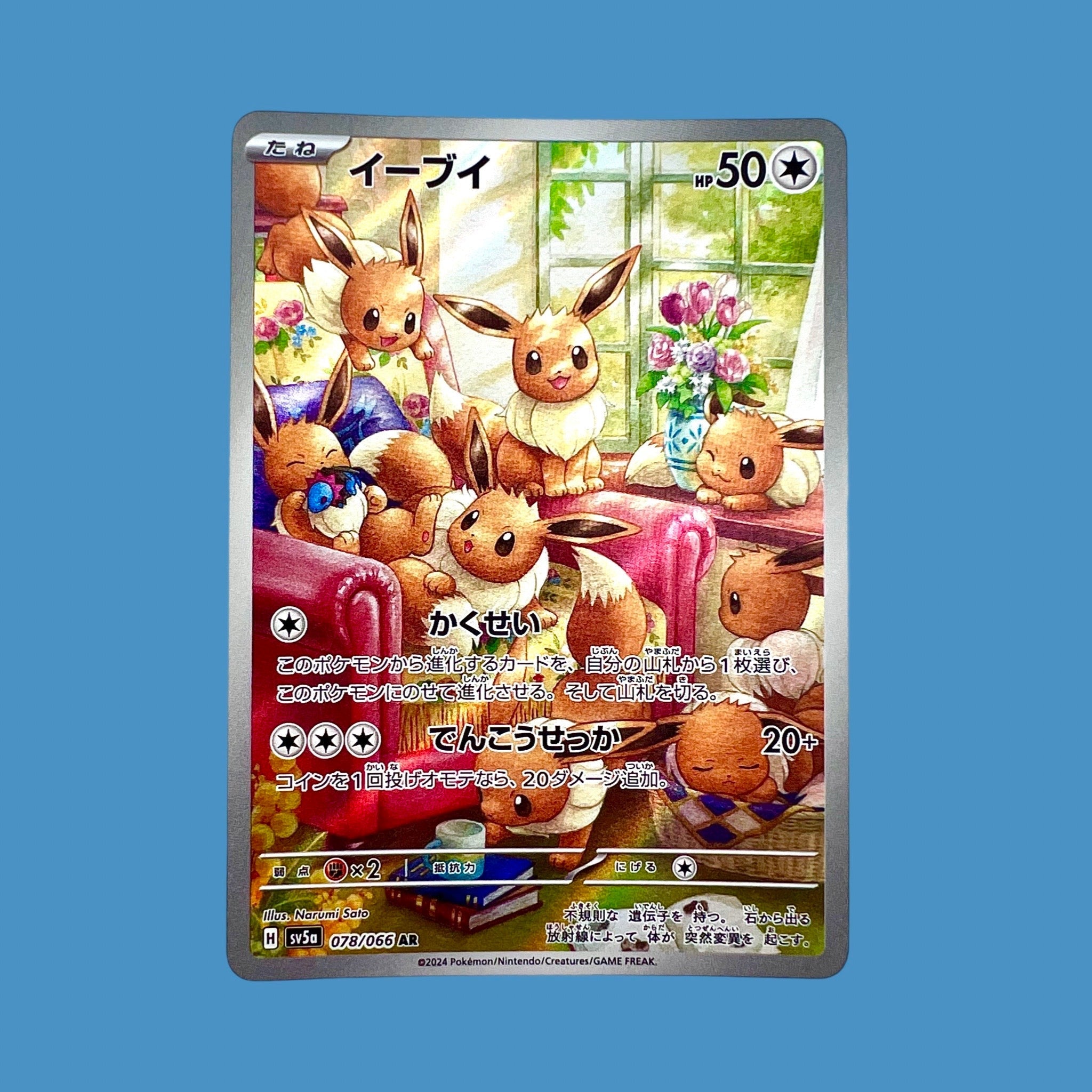 pokémon - AR/CHR - Lerepaireducollectionneur