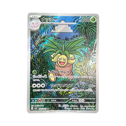 NOADKOKO AR 066/063 M1L