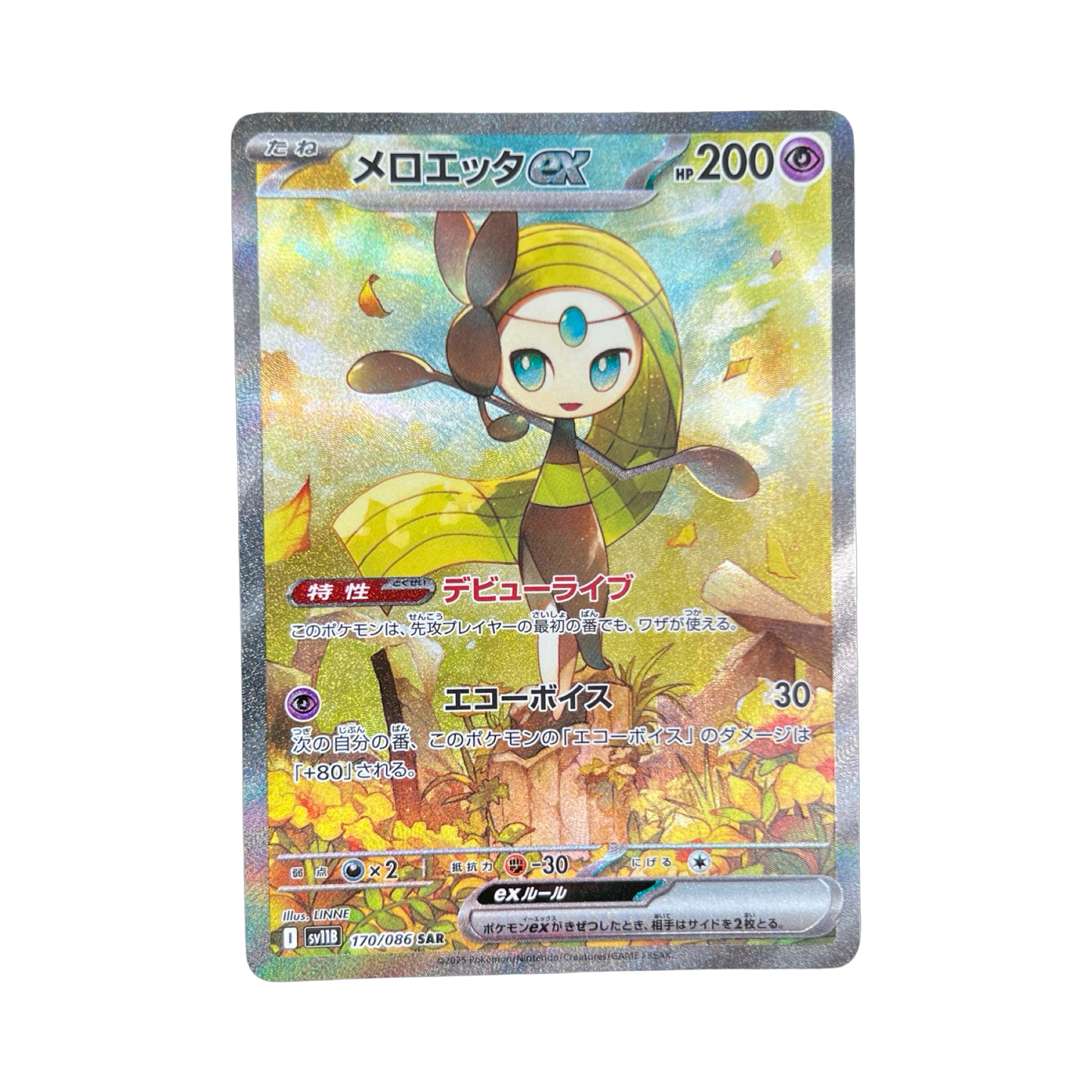 MELOETTA SAR 170/086 SV11B