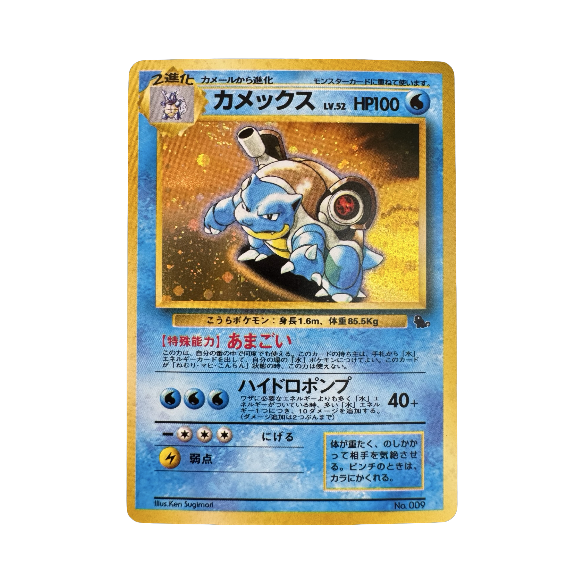 Carte Pokémon Tortank Holo Intro Pack Squirtle