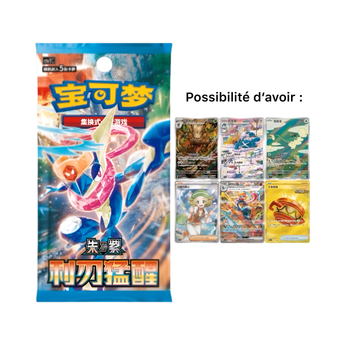 pokémon - Coffret Pokémon Chinois Nouvel An Lunaire 2026 - acheter des produits pokémon chez le repaire du collectionneur