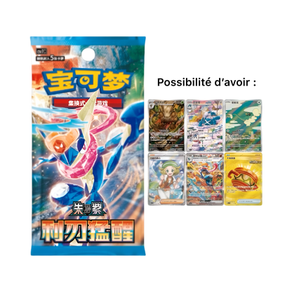pokémon - Coffret Pokémon Chinois Nouvel An Lunaire 2026 - acheter des produits pokémon chez le repaire du collectionneur